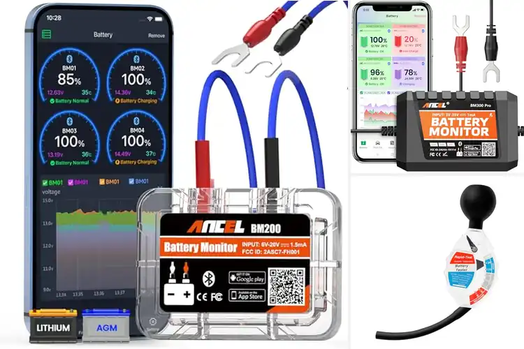 Detailed view of Best Battery Health Monitors