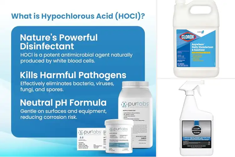 Detailed view of Best Disinfectants For Food Facilities