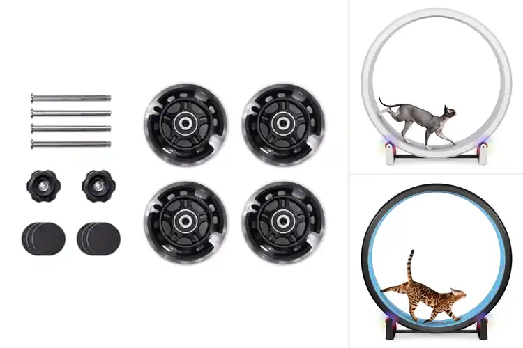 Detailed view of Best LED Exercise Wheels
