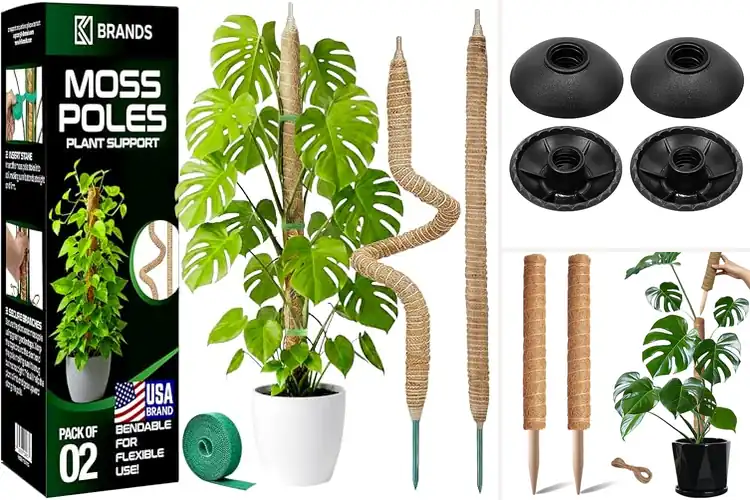 Detailed view of Best Pole Climber Accessories: Thrive & Climb Safely