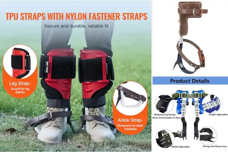 Detailed view of Best Pole Climbers