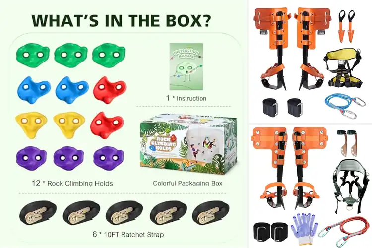 Detailed view of Best Tree Climbers: Safe & Thrilling Picks for All Ages